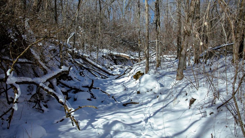 Photo of Lt0 Cth XX, Viroqua, WI 54665 (MLS # 1949552)