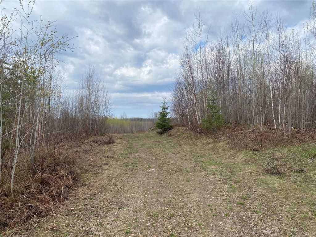 Photo of Near Wilson Lake Road, Phillips, WI 54555 (MLS # 1599329)