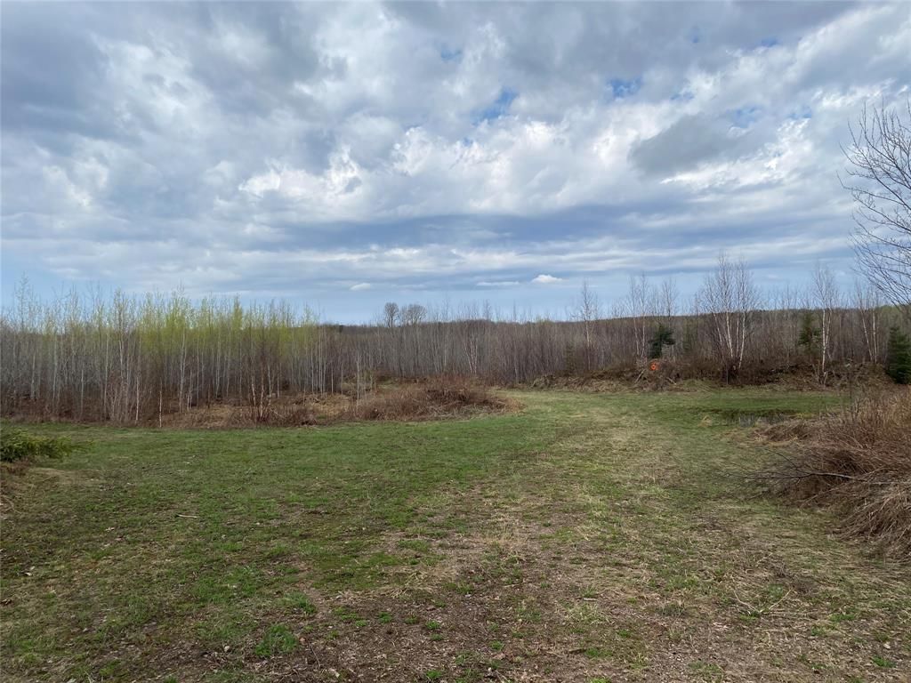 Photo of Near Wilson Lake Road, Phillips, WI 54555 (MLS # 1599329)
