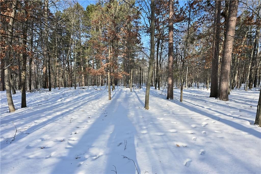 Photo of 3656 Deer Lodge Trail WAY, Danbury, WI 54830 (MLS # 1597551)