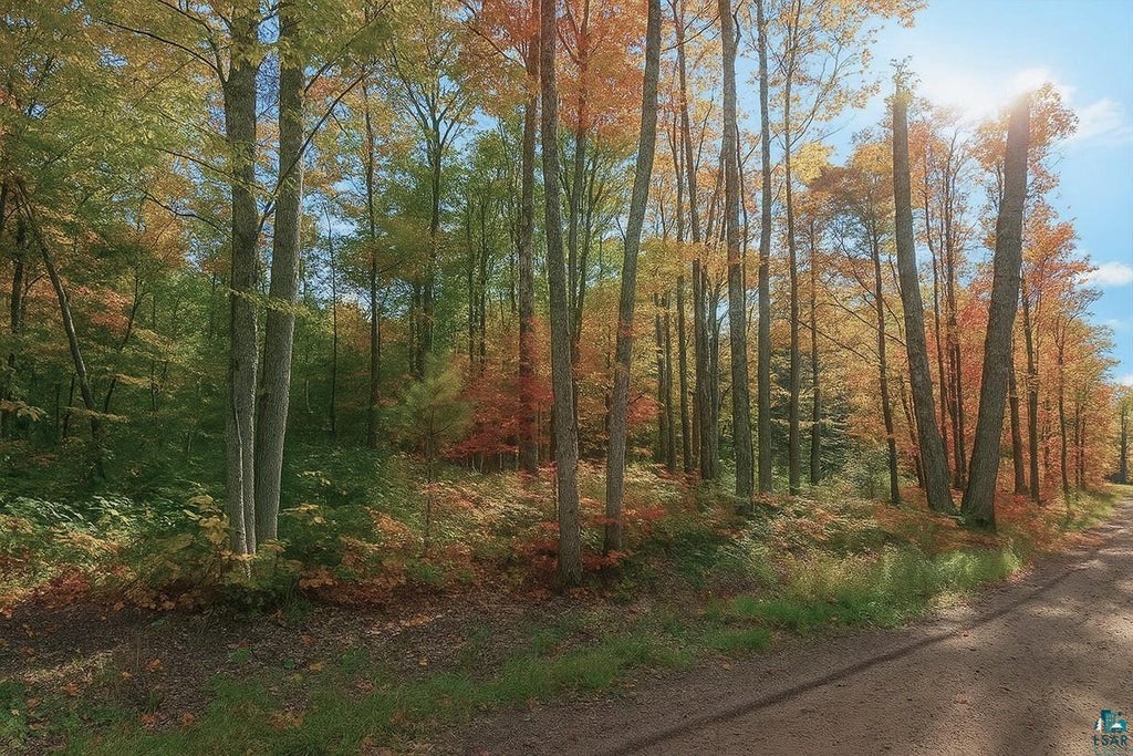 Photo of XXX (5 acres) Tressel TRAIL, Iron River, WI 54847 (MLS # 6122642)