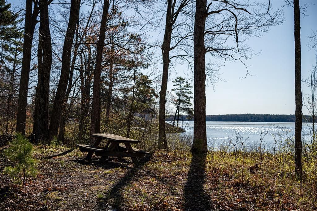 Photo of 15189W Beckwith Rd, Hayward, WI 54843 (MLS # 1600962)