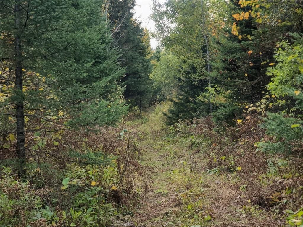 Photo of TBD Bear Lake ROAD, Butternut, WI 54514 (MLS # 1596122)
