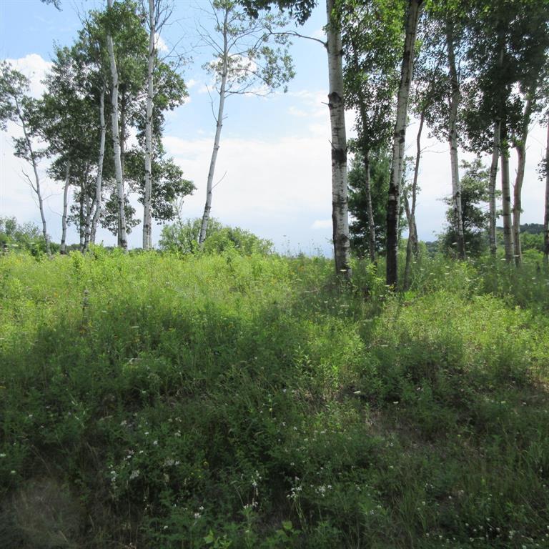 Photo of Lot 13 516th STREET, Menomonie, WI 54751 (MLS # 1603467)