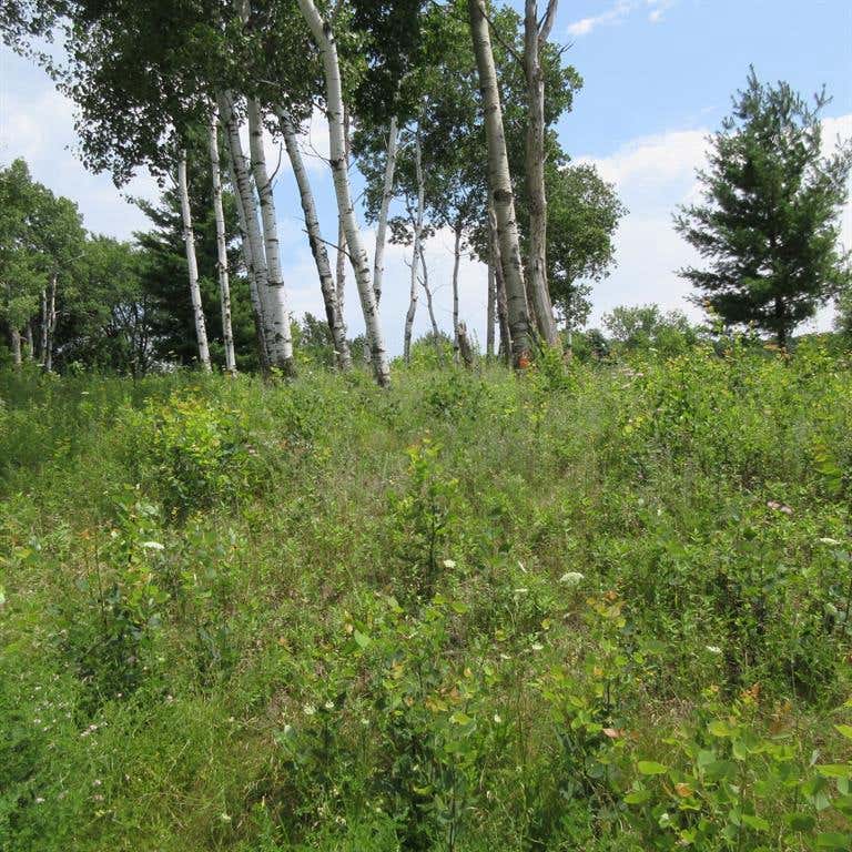 Photo of Lot 13 516th STREET, Menomonie, WI 54751 (MLS # 1603467)