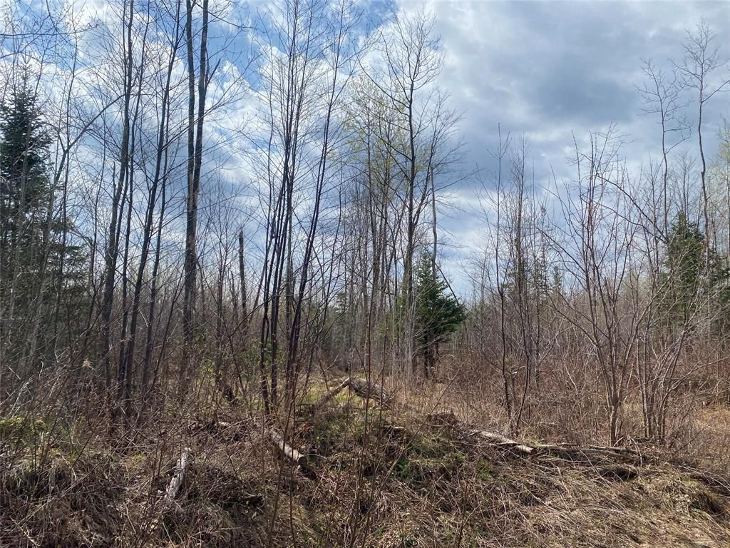 Photo of Near Wilson Lake Road, Phillips, WI 54555 (MLS # 1599330)