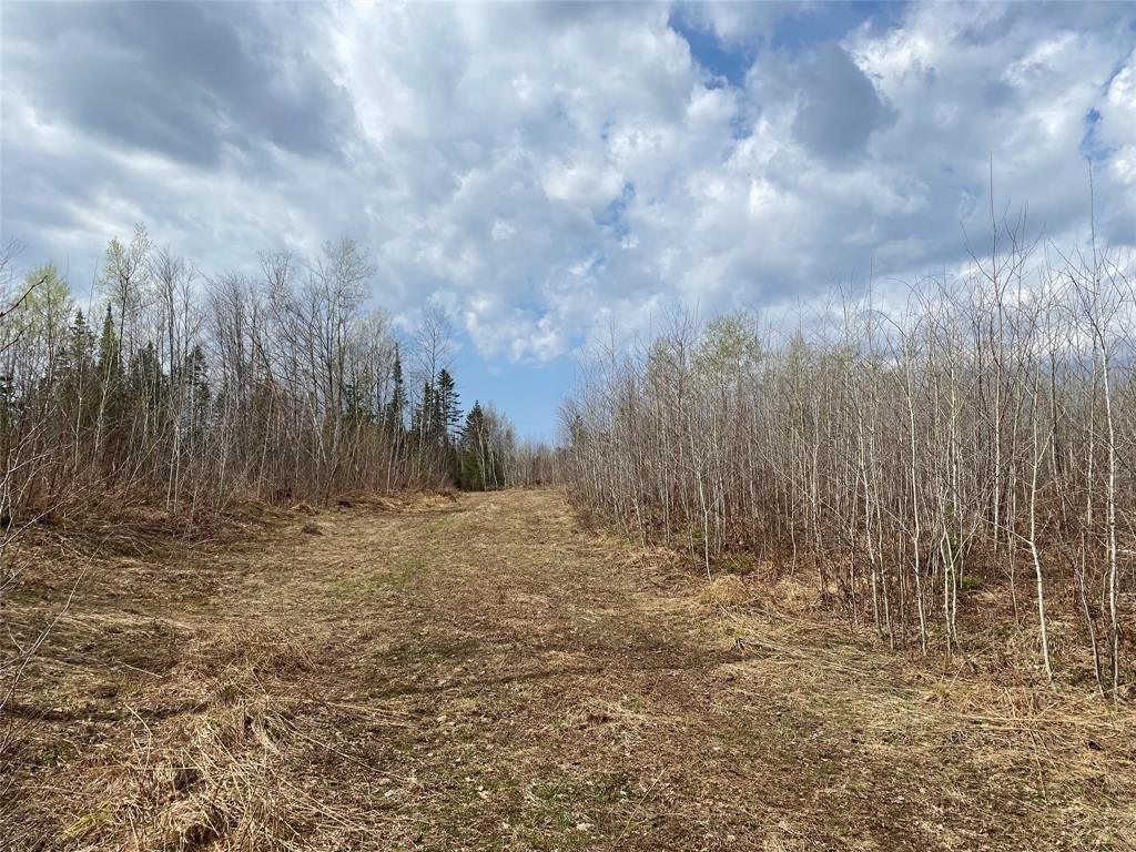 Photo of Near Wilson Lake Road, Phillips, WI 54555 (MLS # 1599330)
