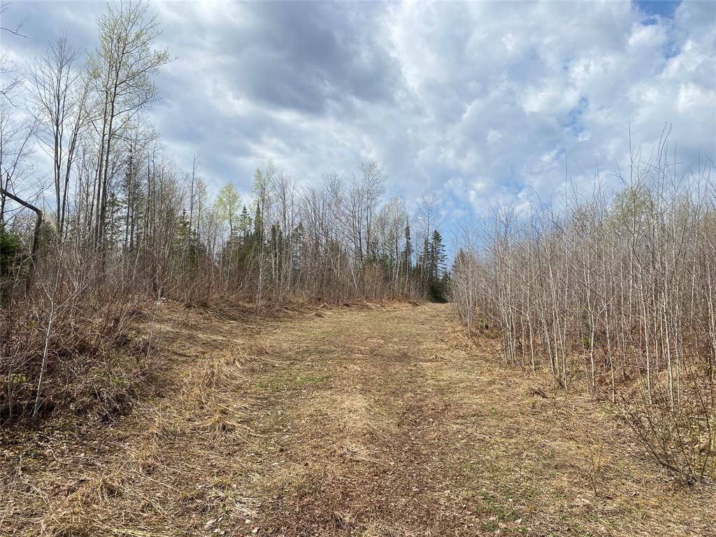 Photo of Near Wilson Lake Road, Phillips, WI 54555 (MLS # 1599330)