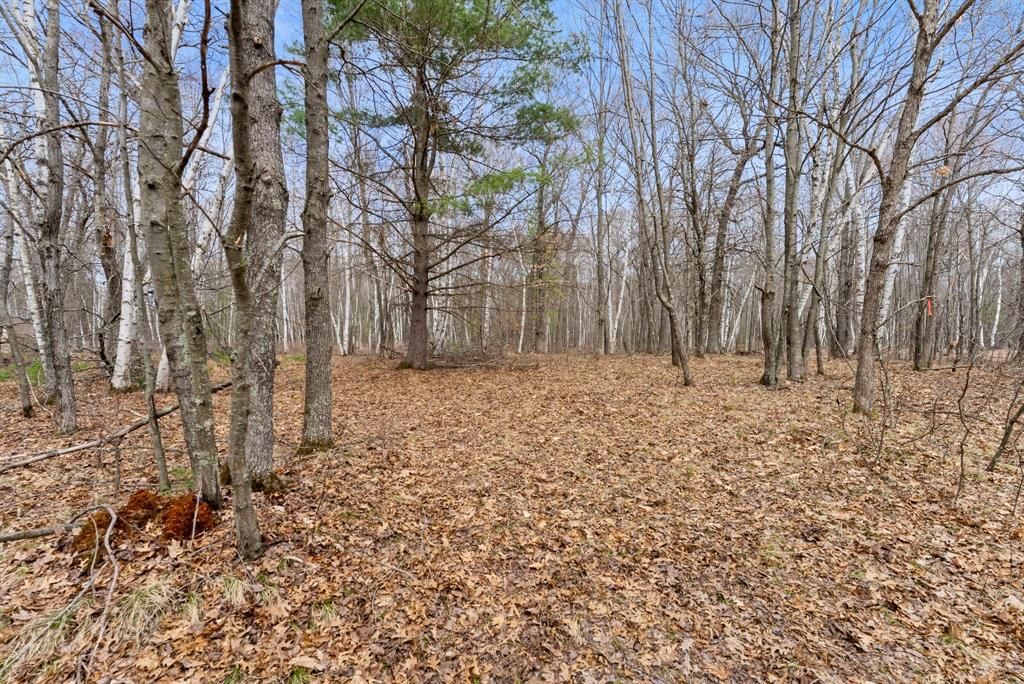 Photo of 7108 Oakwood PARKWAY, Webster, WI 54893 (MLS # 1600154)