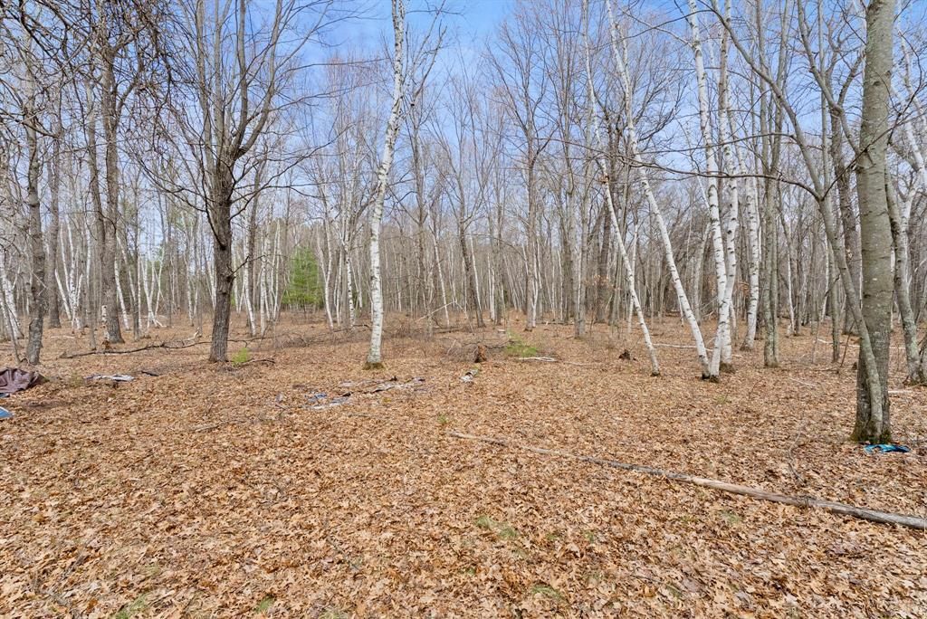 Photo of 7108 Oakwood PARKWAY, Webster, WI 54893 (MLS # 1600154)