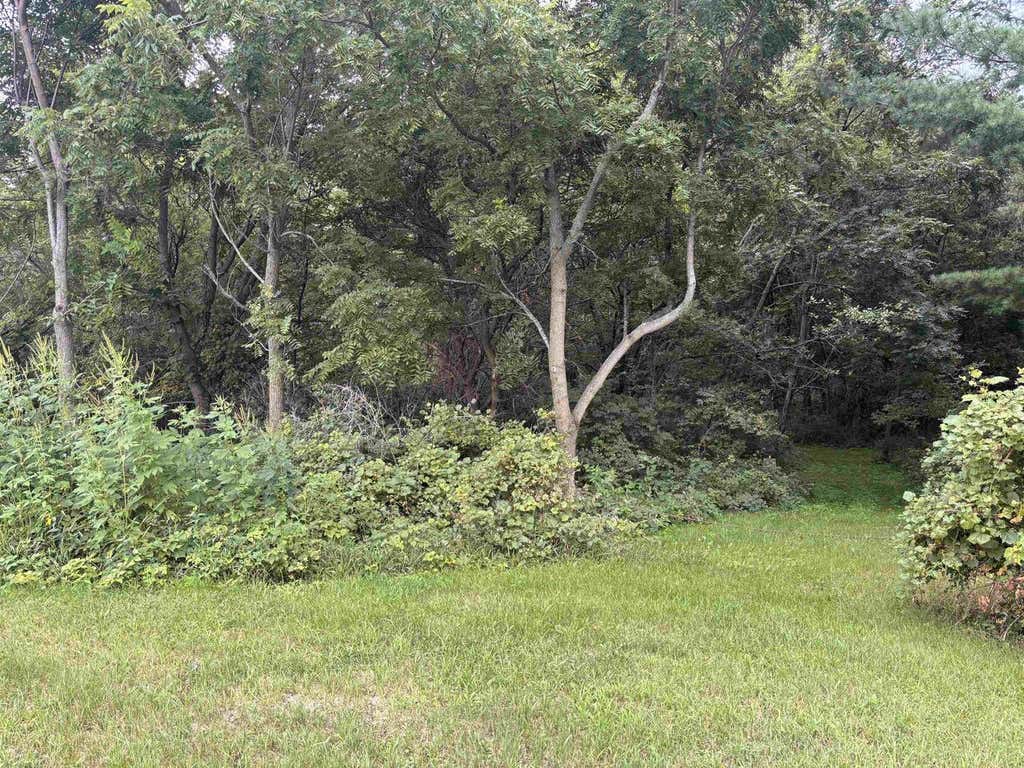 Photo of 5.35 Acres Seeman ROAD, Evansville, WI 53536 (MLS # 2030802)