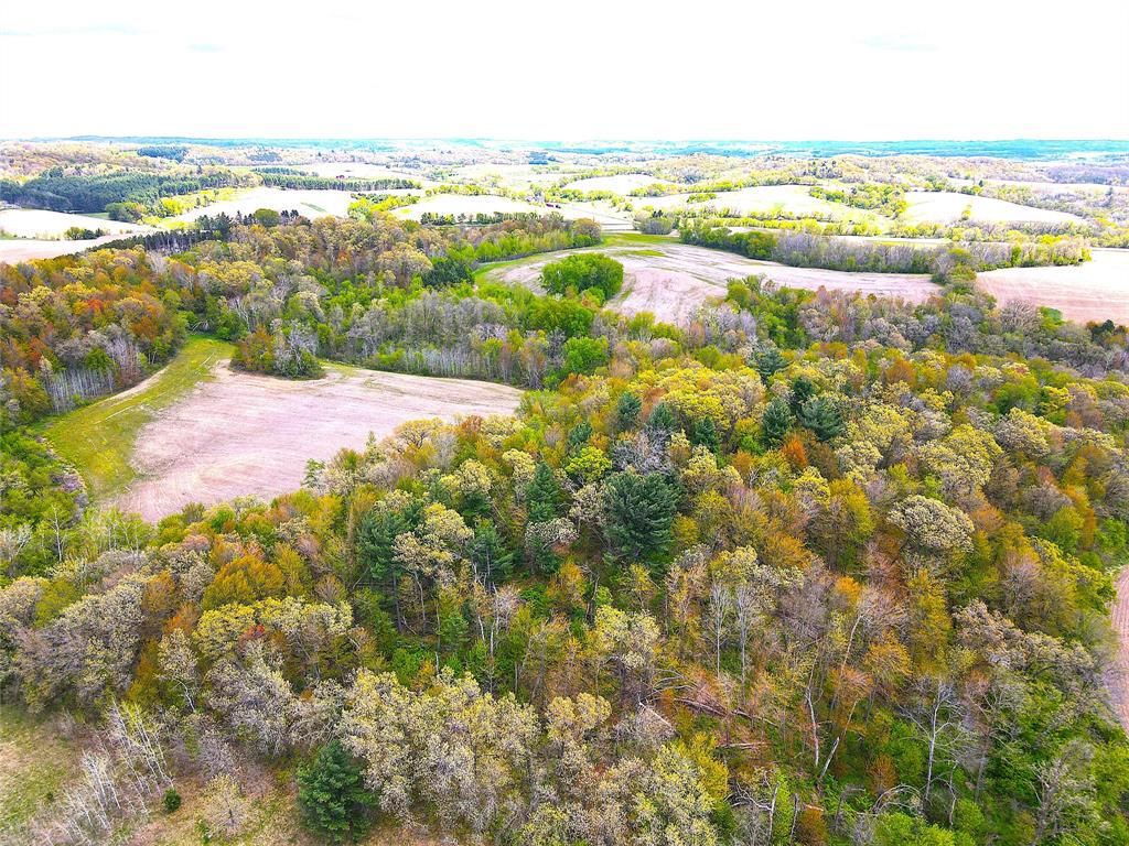 Photo of 125 acres Steig Coulee Road, Osseo, WI 54758 (MLS # 1601001)