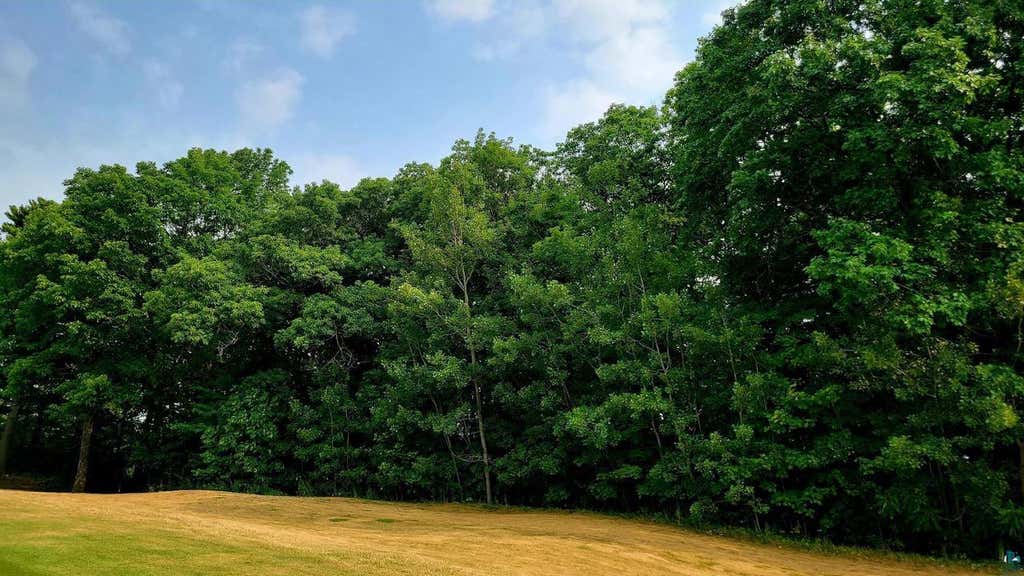 Photo of 84xxx Raspberry LANE, Bayfield, WI 54814 (MLS # 6127392)