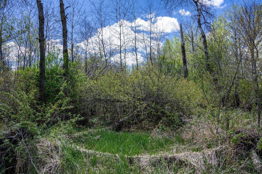 Photo of 70 acres 22nd STREET, Necedah, WI 54646 (MLS # 2022773)