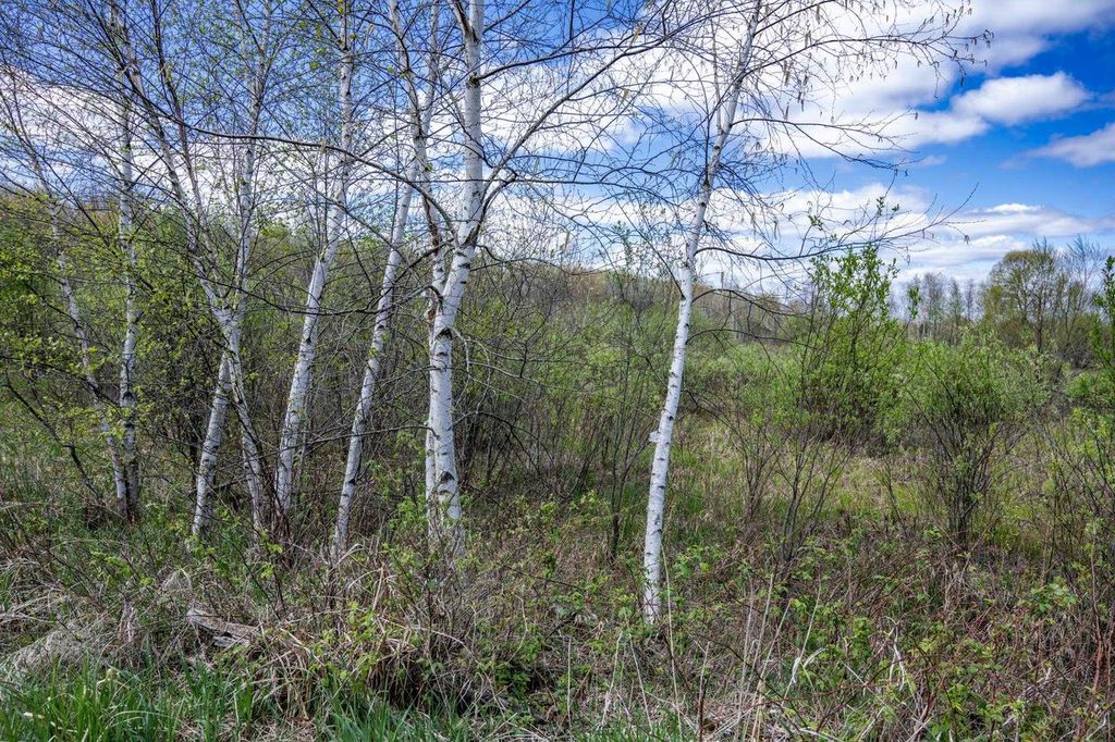 Photo of 70 acres 22nd STREET, Necedah, WI 54646 (MLS # 2022773)