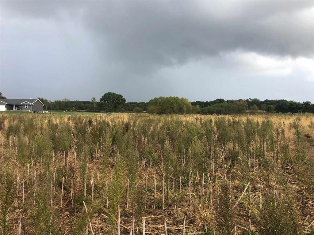 Photo of Lots 8 &amp; 9 English Settlement ROAD, Albany, WI 53502 (MLS # 2020443)