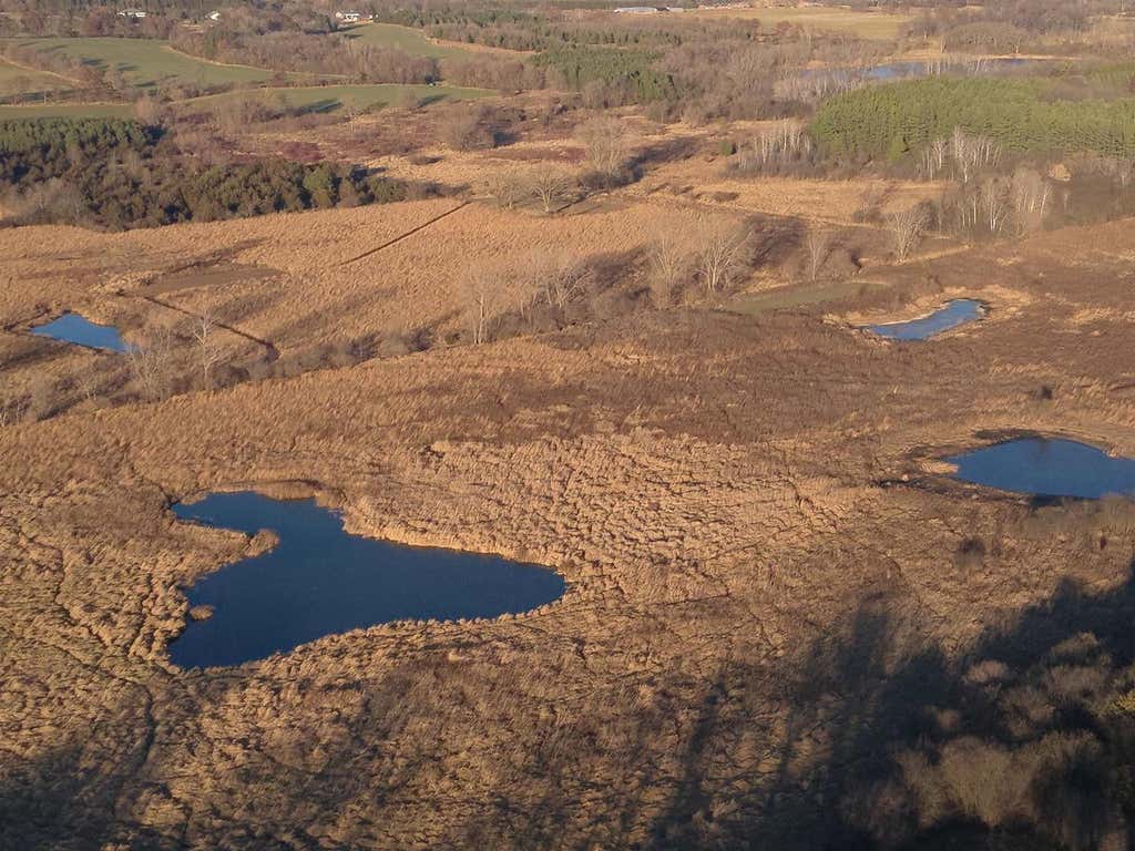 Photo of 92+/- acres State Road 49 Acres ACRES, Green Lake, WI 54941 (MLS # 2029294)