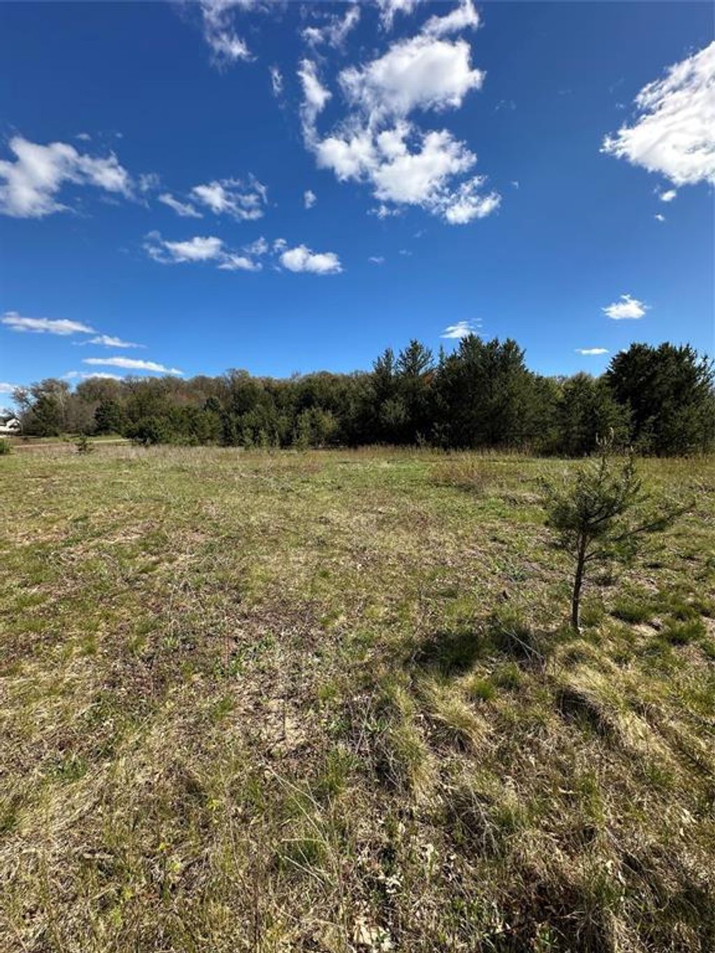 Photo of 00 Maplewood Ln, Osseo, WI 54758 (MLS # 1601006)