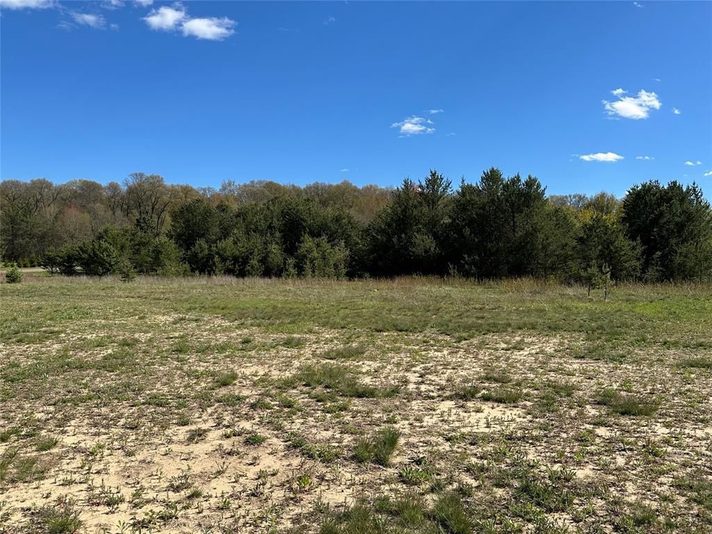 Photo of 00 Maplewood Ln, Osseo, WI 54758 (MLS # 1601006)