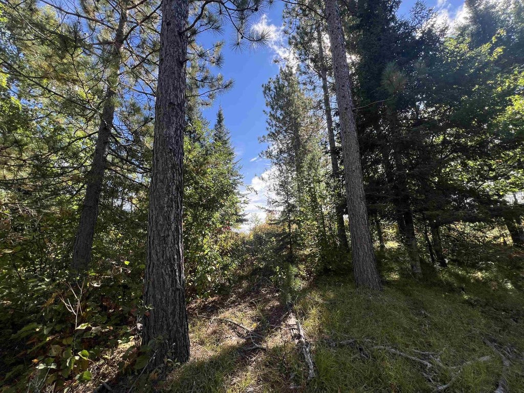 Photo of Gehling ROAD, Dunbar, WI 54119 (MLS # 50333039)