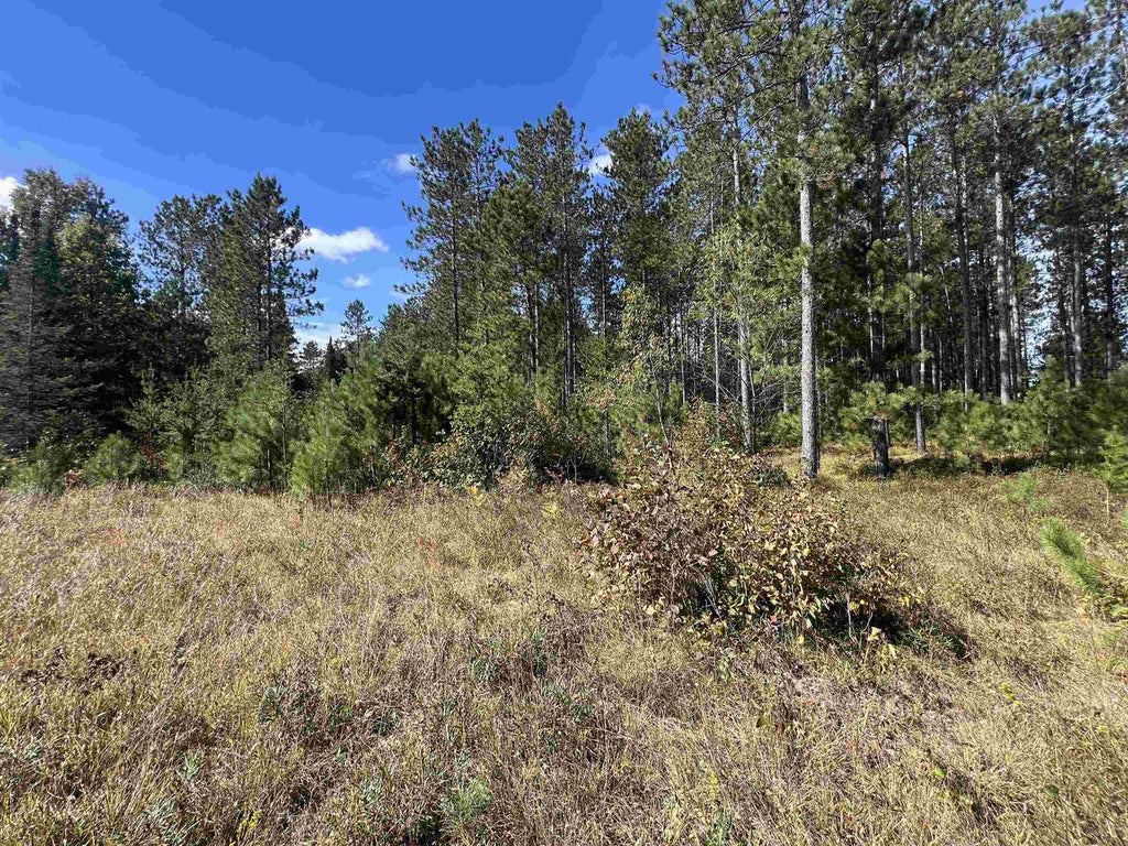 Photo of Gehling ROAD, Dunbar, WI 54119 (MLS # 50333039)