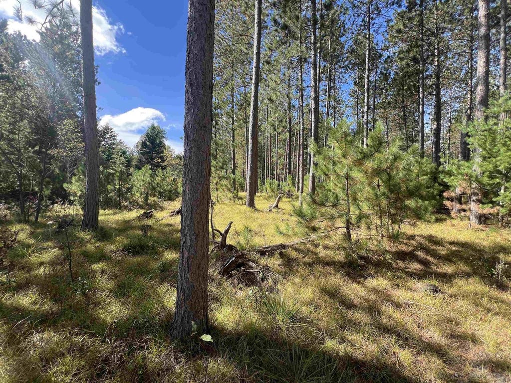 Photo of Gehling ROAD, Dunbar, WI 54119 (MLS # 50333039)