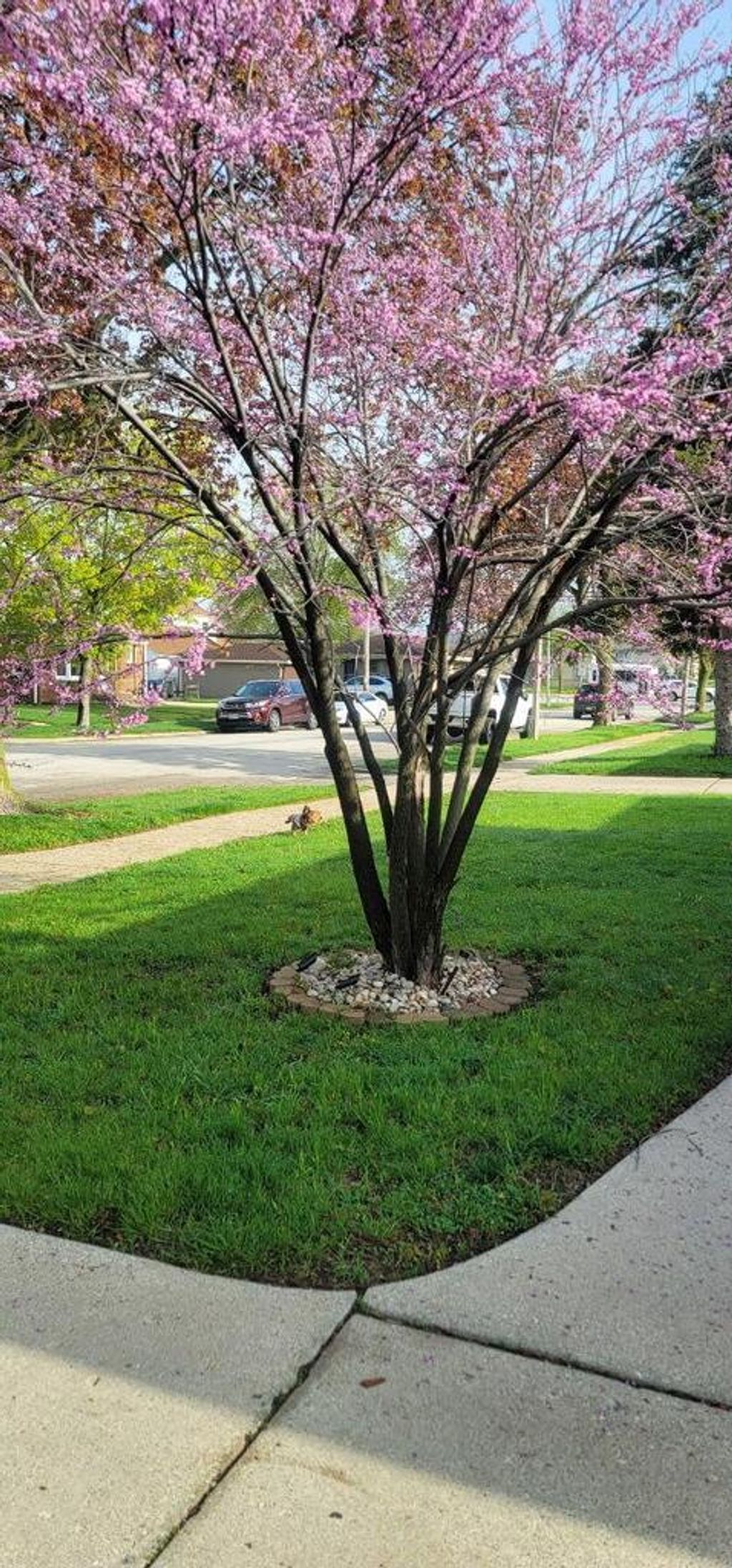 Photo of 4732 S 23rd STREET, Milwaukee, WI 53221 (MLS # 1957514)