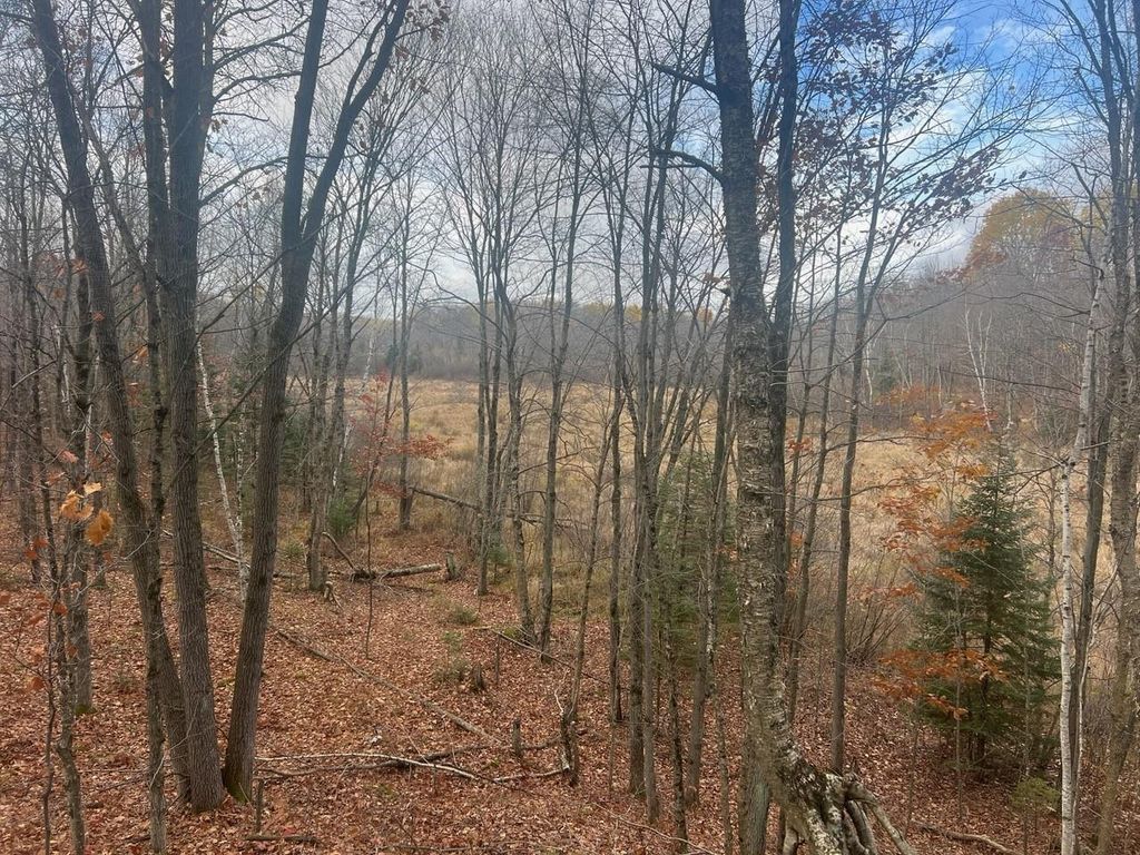 Photo of County Rd Y, Hatley, WI 54440 (MLS # 50319380)