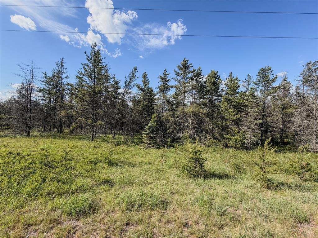 Photo of 0 County Road Y, Gordon, WI 54838 (MLS # 1602290)