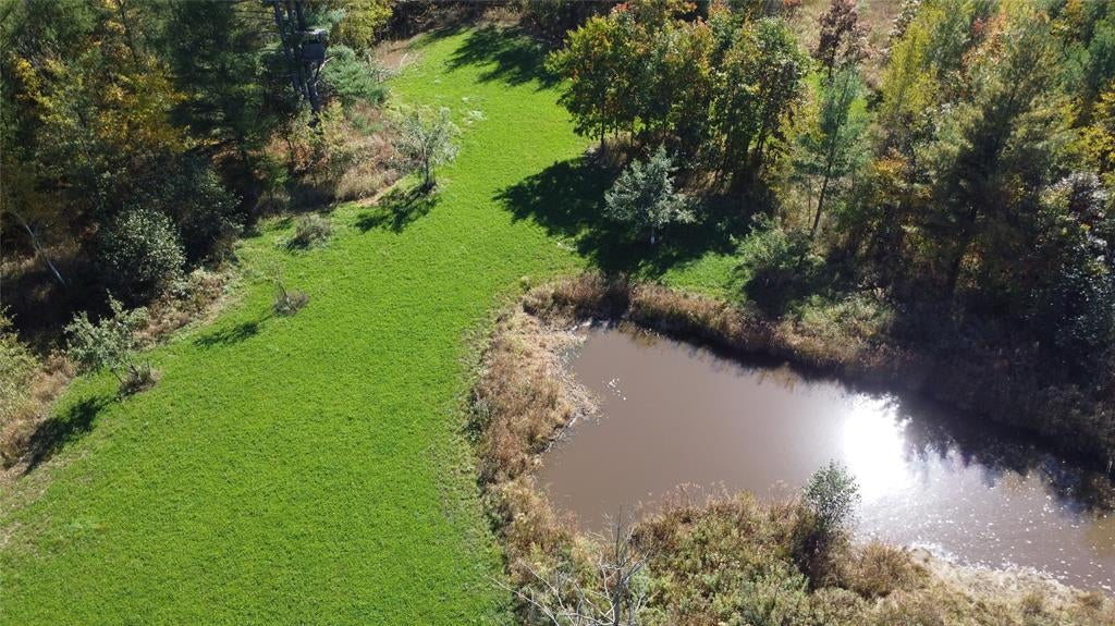 Photo of OOO Sparks ROAD, Pittsville, WI 54466 (MLS # 1605781)