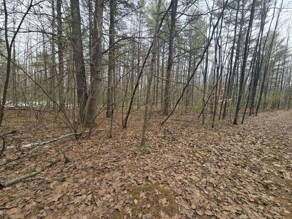 Photo of Rabbit Trail ROAD, Wausaukee, WI 54177 (MLS # 50322105)