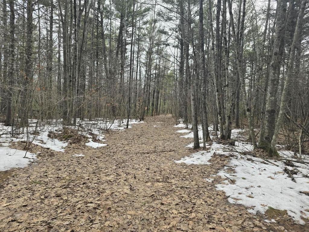 Photo of Rabbit Trail ROAD, Wausaukee, WI 54177 (MLS # 50322105)