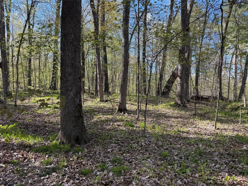 Photo of W2373 Blackhawk ROAD, Sarona, WI 54870 (MLS # 1601195)