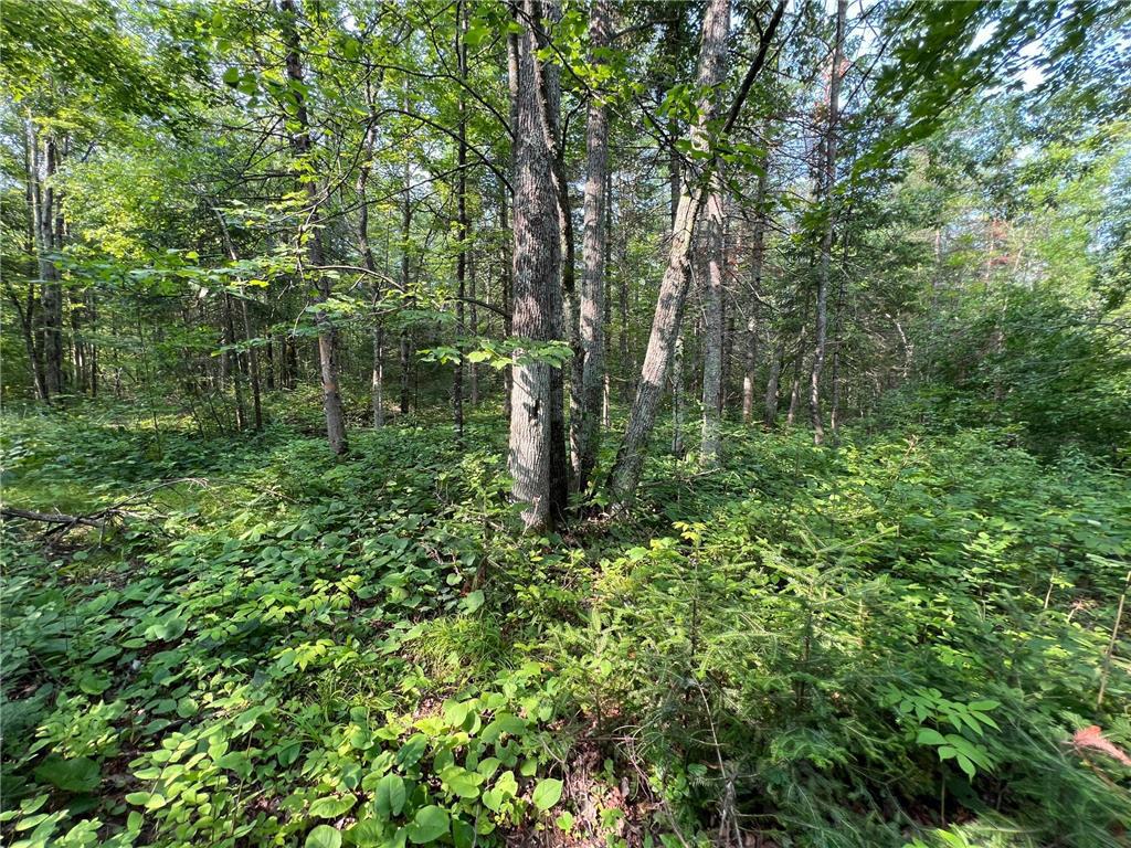 Photo of W8804 Timber TRAIL, Ladysmith, WI 54848 (MLS # 7046607)