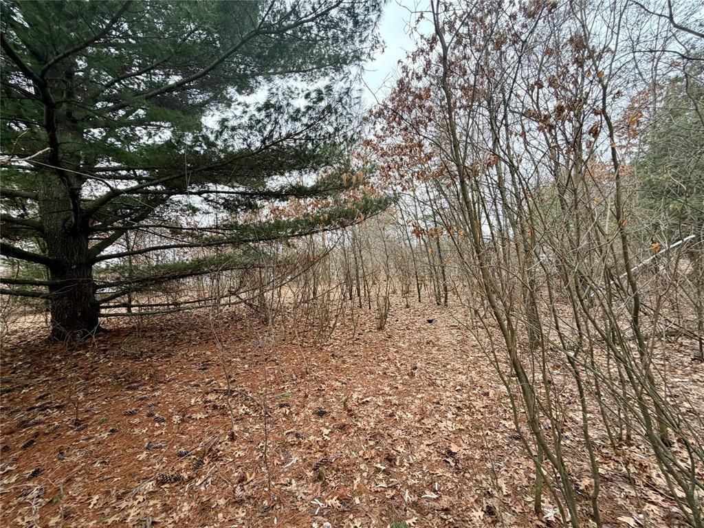 Photo of 7646 196th STREET, Chippewa Falls, WI 54729 (MLS # 7048056)