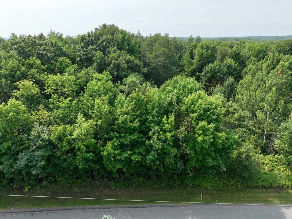 Photo of Lot 16 Burma ROAD, Mosinee, WI 54455 (MLS # 22603974)