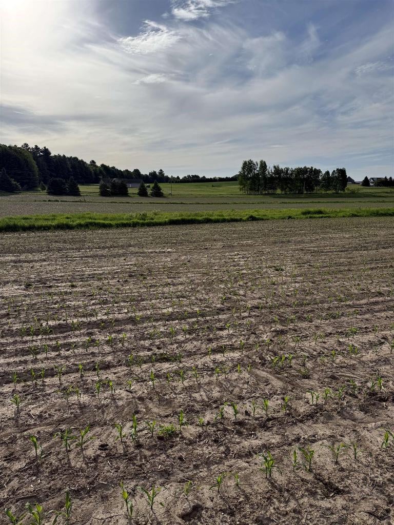 Photo of 0000 County Road O, Wausau, WI 54401 (MLS # 22602538)
