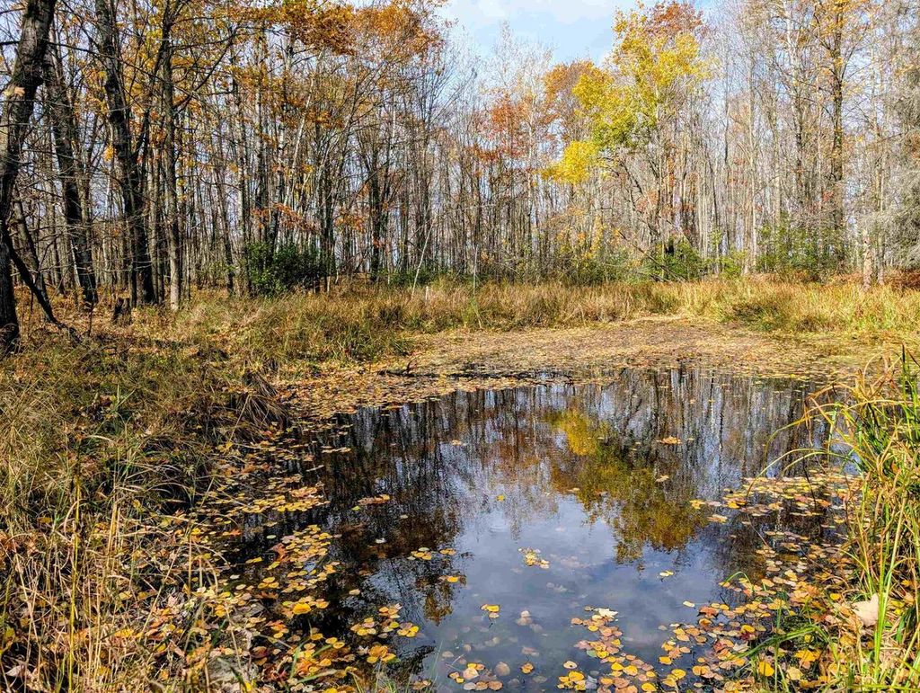 Photo of N6499 Thatcher ROAD, Glen Flora, WI 54526 (MLS # 22505060)