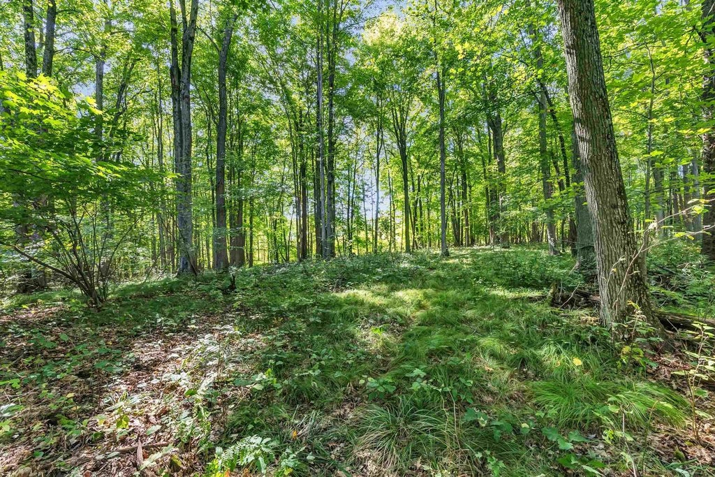 Photo of N West Hill ROAD, Iola, WI 54945 (MLS # 50333269)