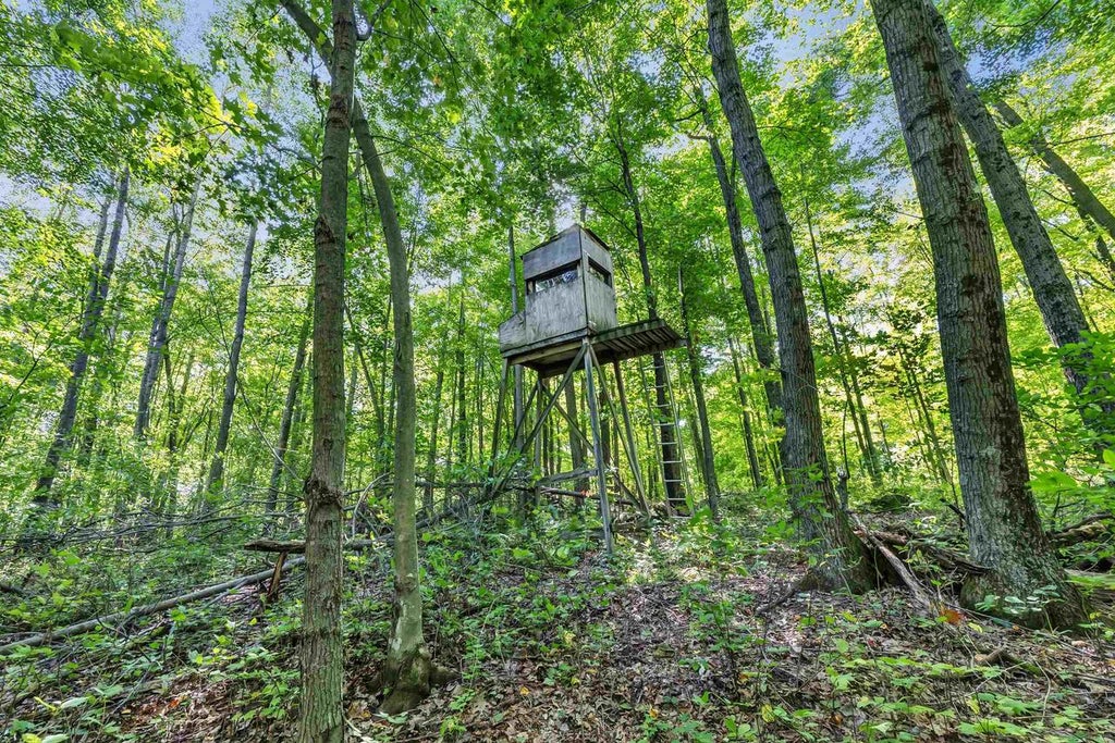 Photo of N West Hill ROAD, Iola, WI 54945 (MLS # 50333269)