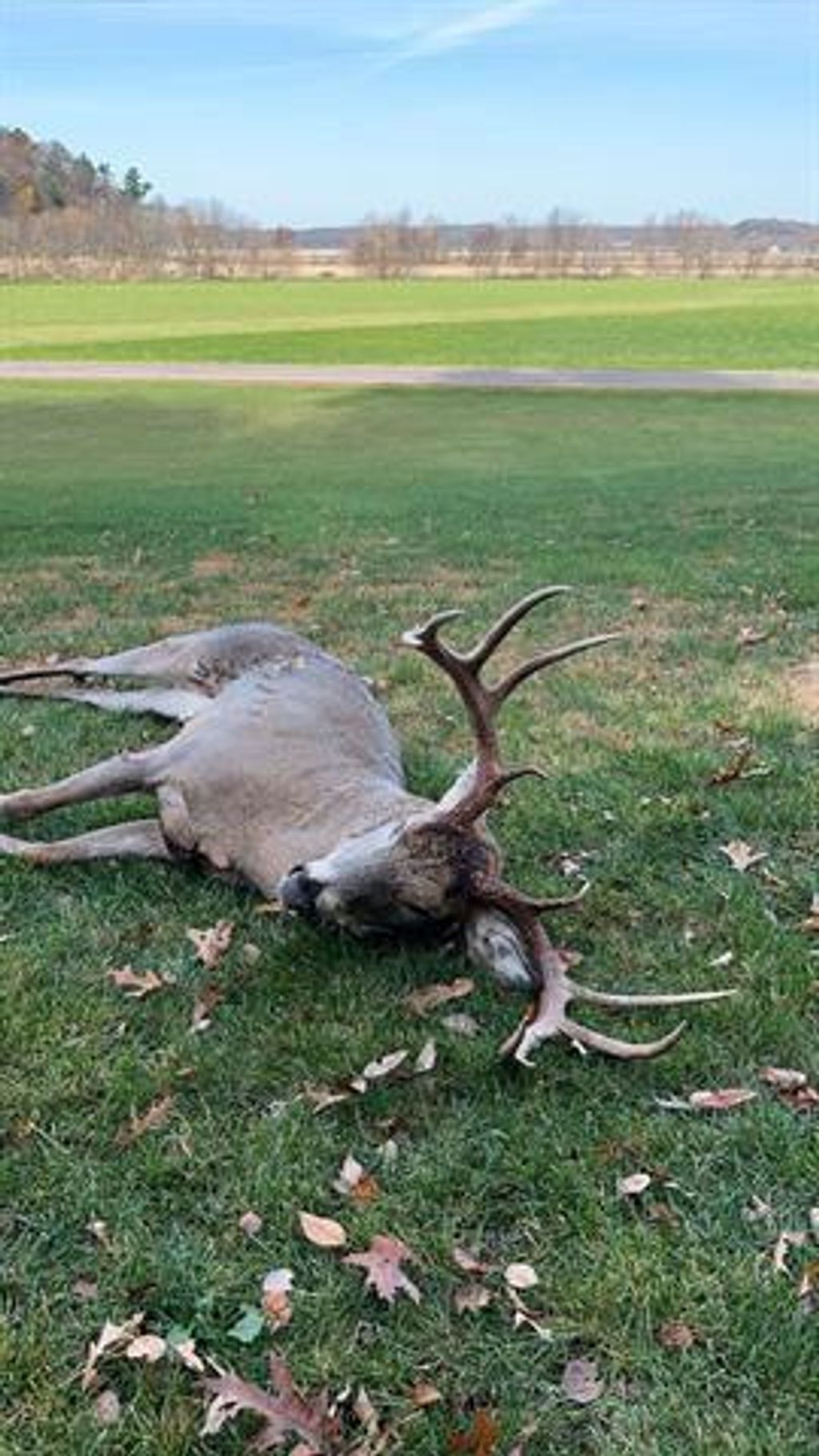 Photo of W7113 Leigh ROAD, Mauston, WI 53948 (MLS # 2016646)