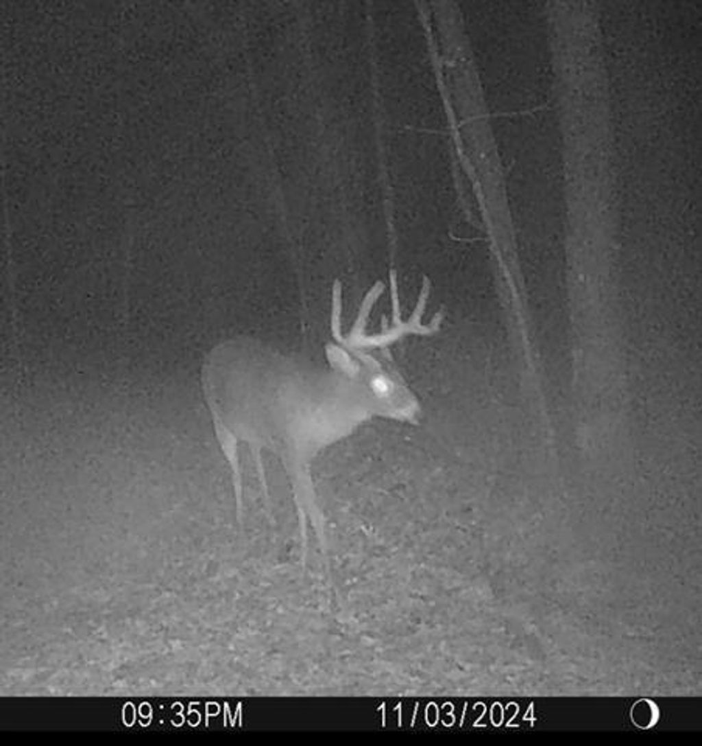 Photo of W7113 Leigh ROAD, Mauston, WI 53948 (MLS # 2016646)