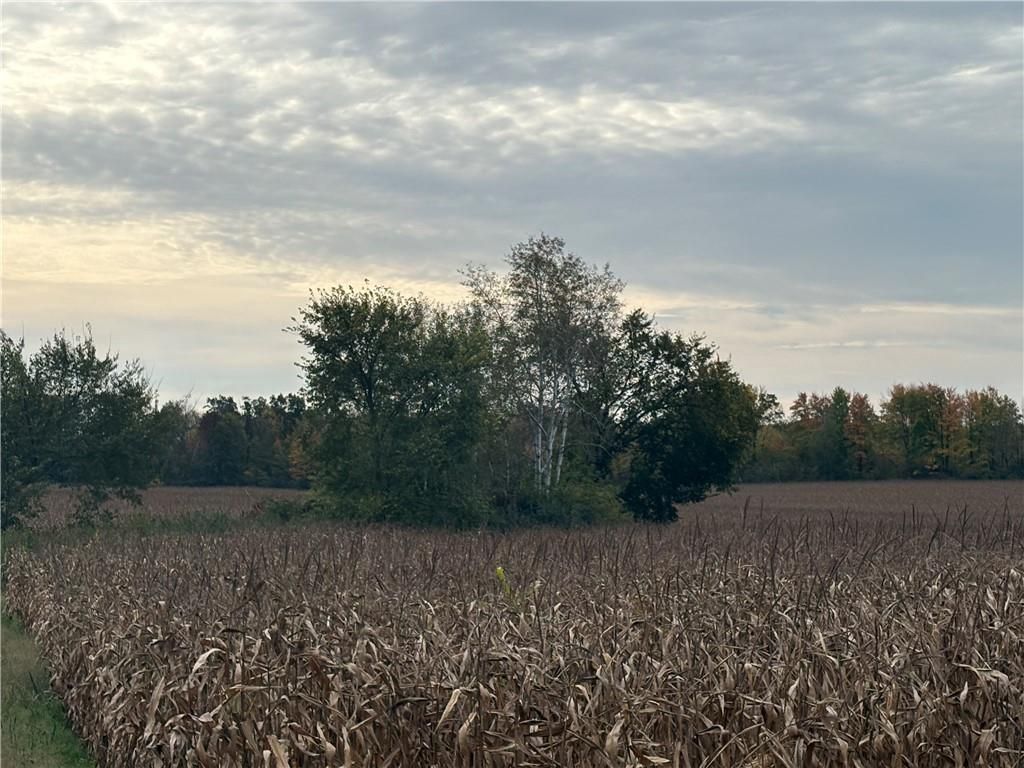 Photo of 0 10 1/2 Street, Barron, WI 54812 (MLS # 1596169)