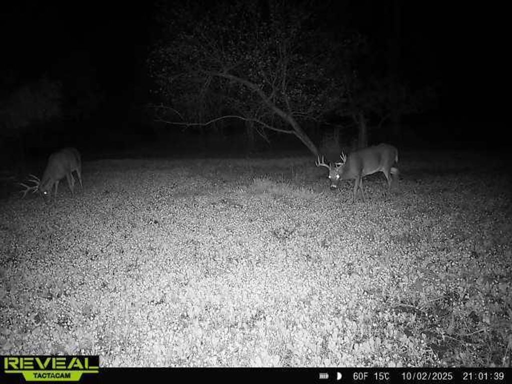 Photo of 30th ROAD, Pine River, WI 54965 (MLS # 50321968)