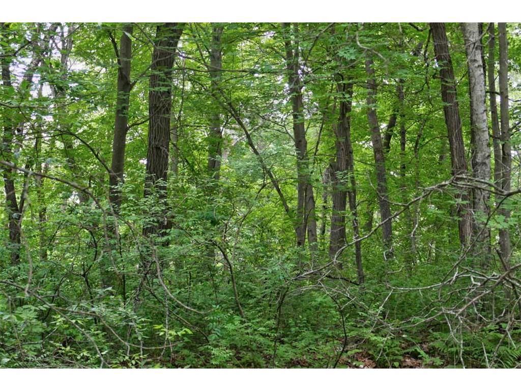 Photo of 1159 65th AVENUE, Amery, WI 54001 (MLS # 7098058)