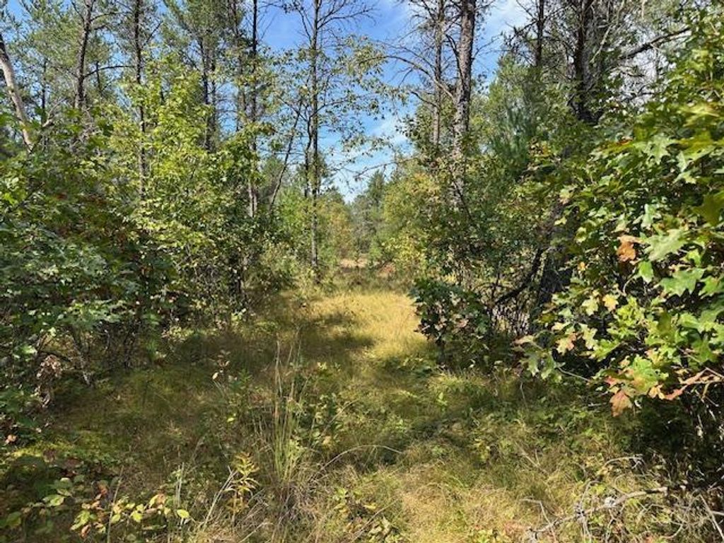 Photo of 36.34 Ac Retirement LANE, Necedah, WI 54646 (MLS # 2008748)