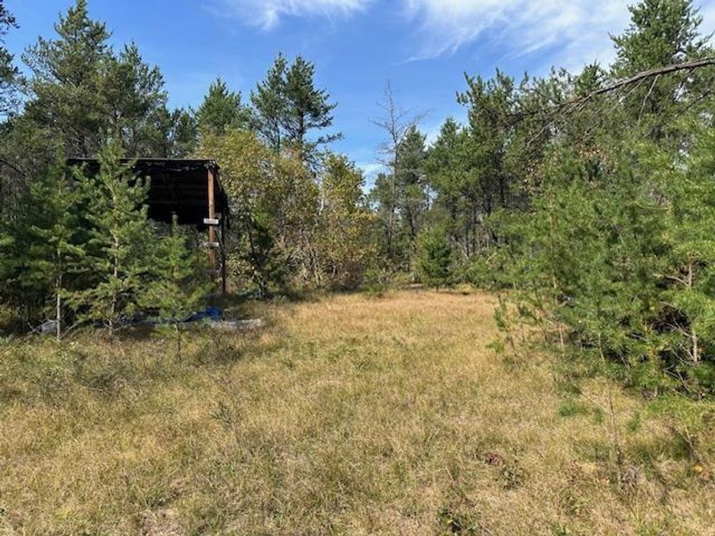Photo of 36.34 Ac Retirement LANE, Necedah, WI 54646 (MLS # 2008748)