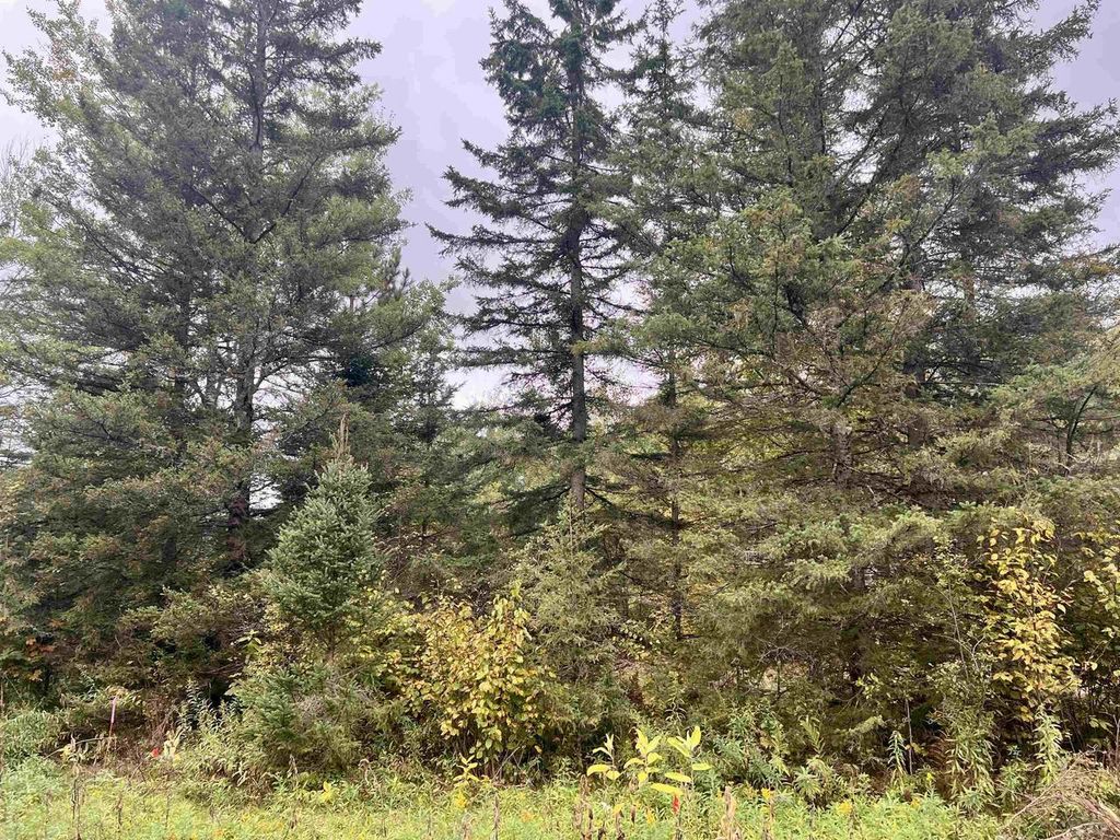 Photo of Dream Lake ROAD, Tipler, WI 54542 (MLS # 50320606)