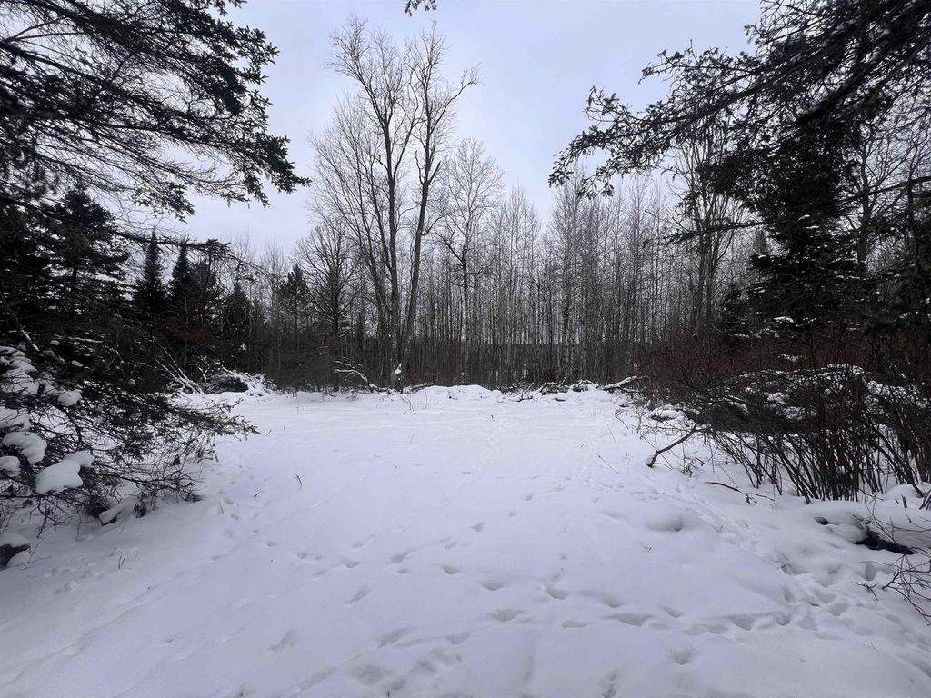 Photo of Dream Lake ROAD, Tipler, WI 54542 (MLS # 50320606)