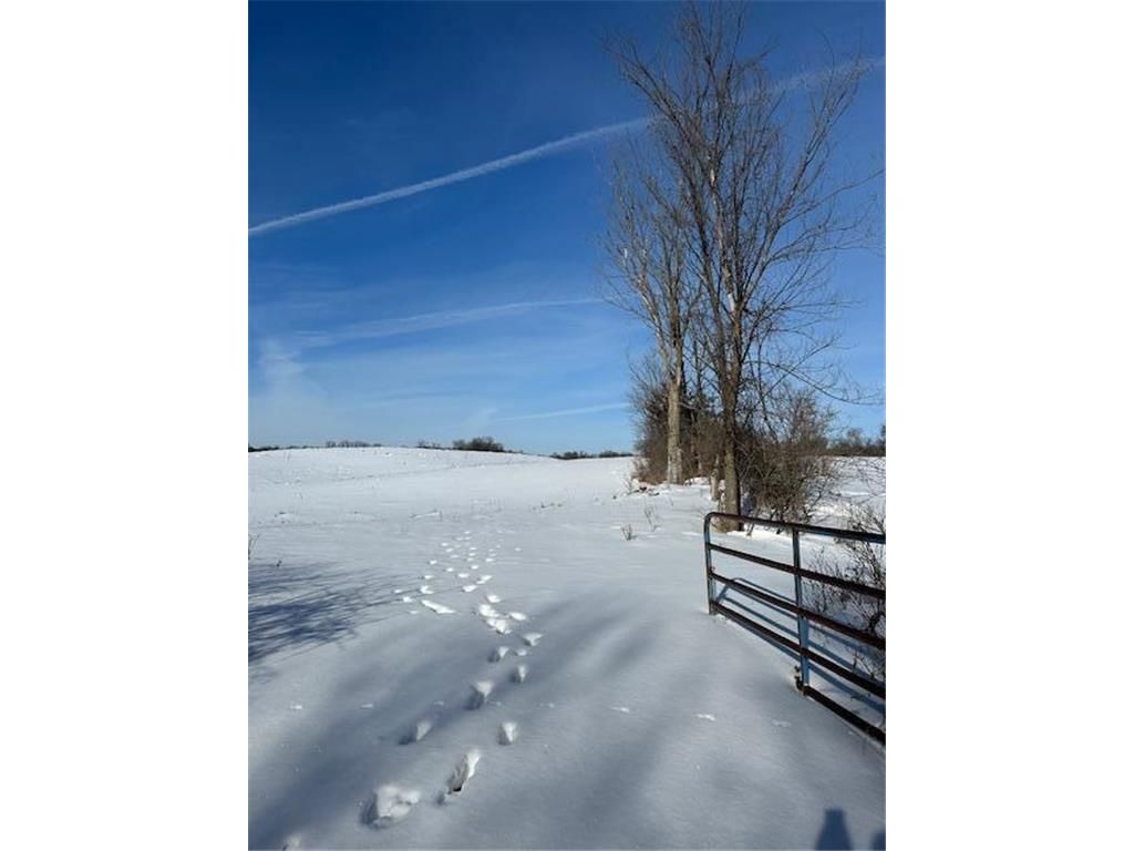 Photo of 2665 230th AVENUE, Saint Croix Falls, WI 54024 (MLS # 7017317)